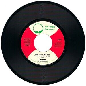 Lobo 45 RPM - How Can I Tell Her / Hope You're Proud Of Me Girl - Big Tree EX